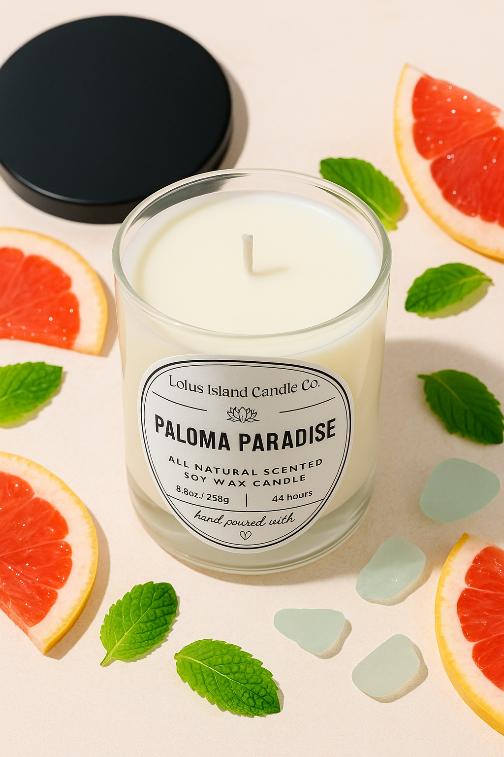 Paloma Paradise